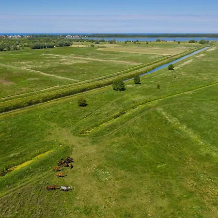 Brick Near Baltic Sea And Windmill * Ledzin