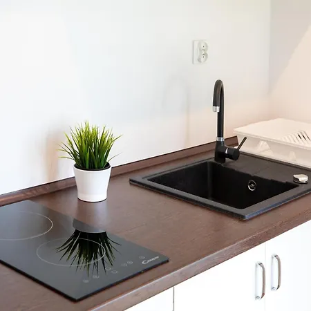 Brick Near Baltic Sea And Windmill * Ledzin